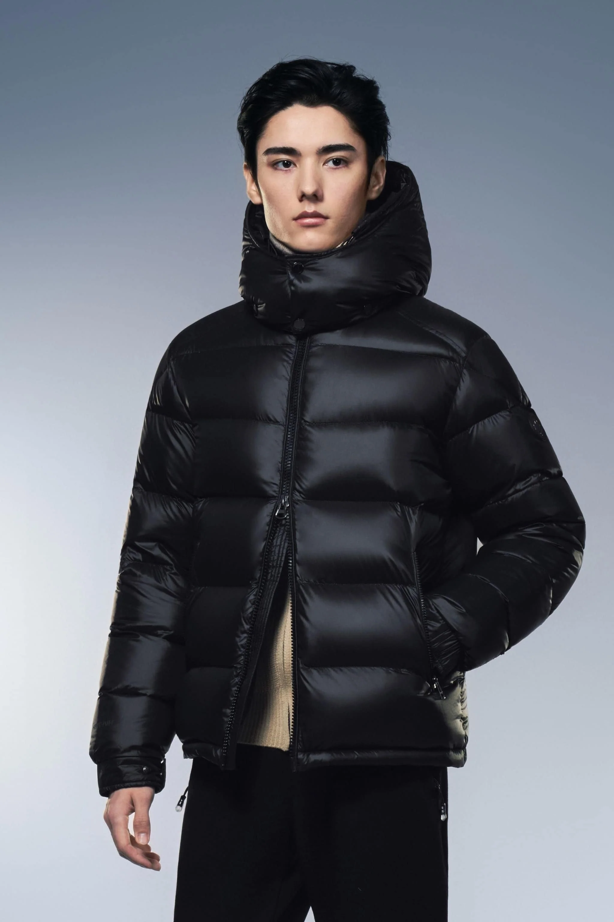 Goose Down Puffer With Hood 110